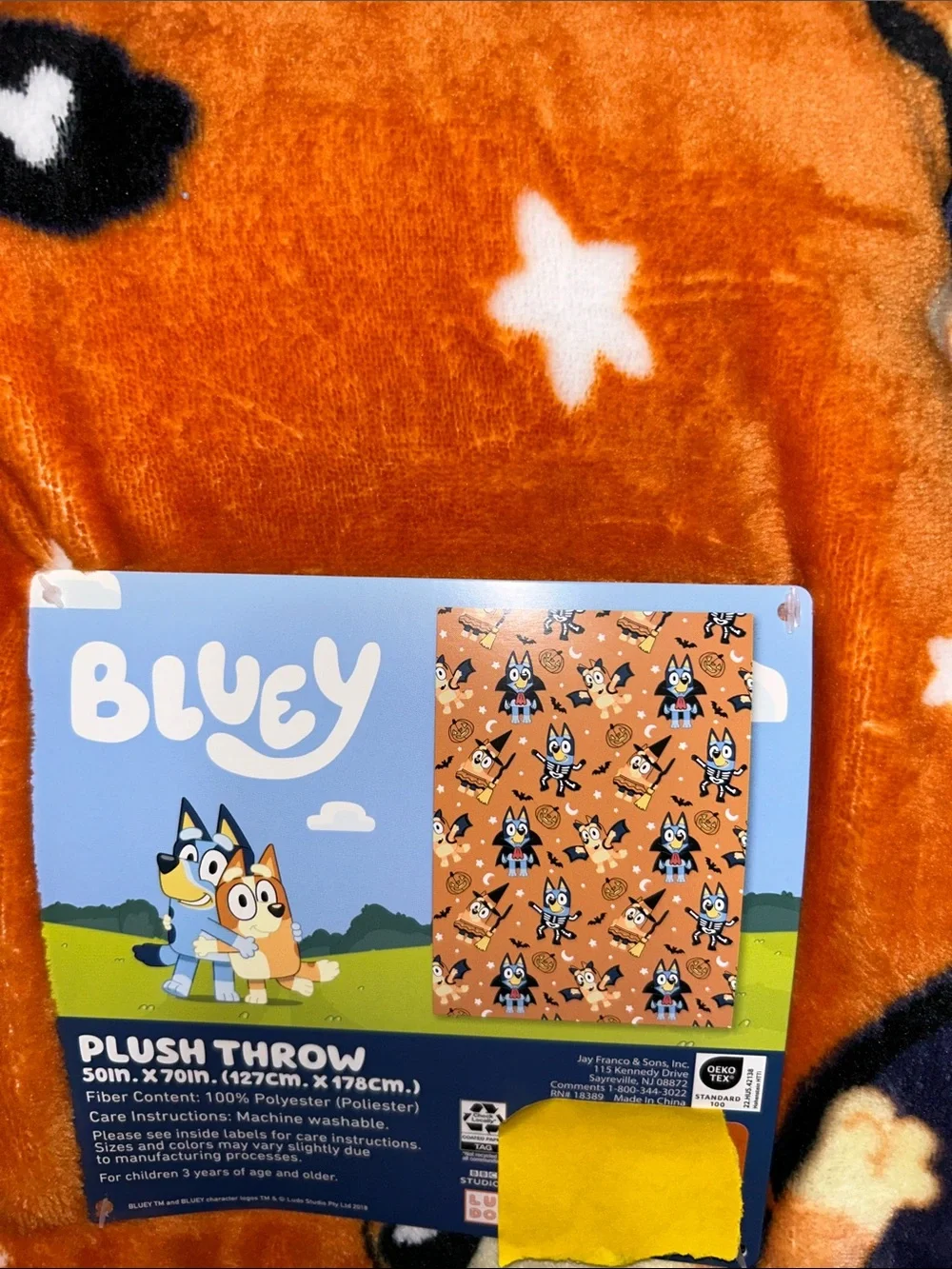 Bluey and Bingo Halloween Plush Throw Blanket